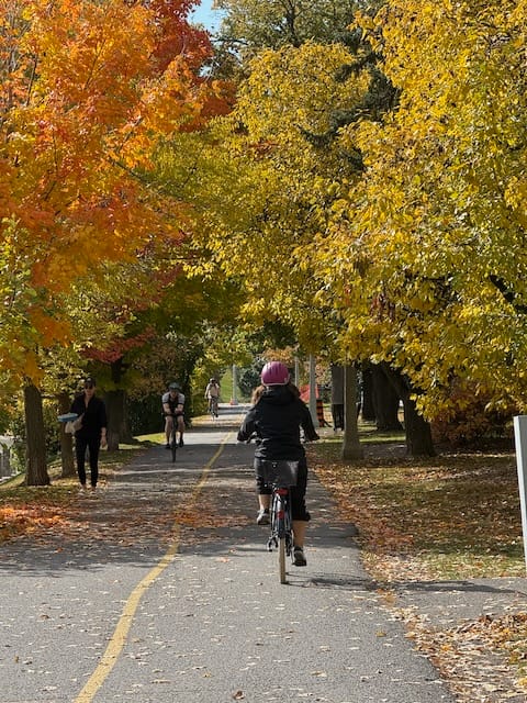 A lady wearing a pink helmet rides her bike towards an arch of leaves in beautiful yellow colour